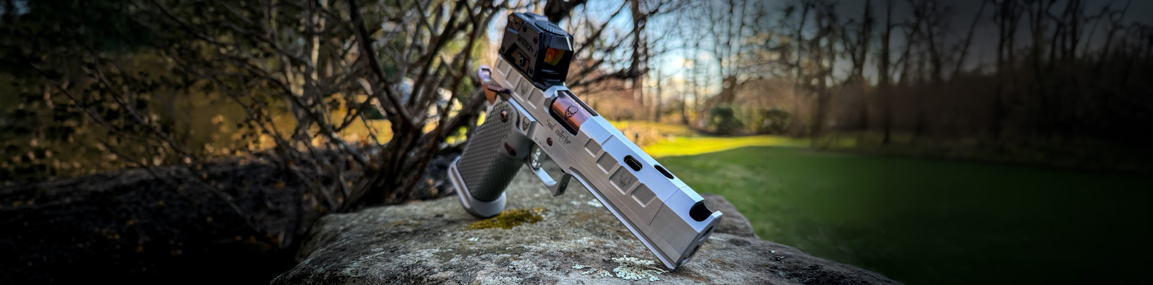 Venom Custom pistol build